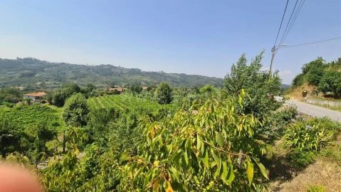 Terreno para Venda em Várzea, Aliviada e Folhada