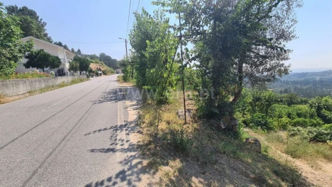 Terreno para Venda em Várzea, Aliviada e Folhada