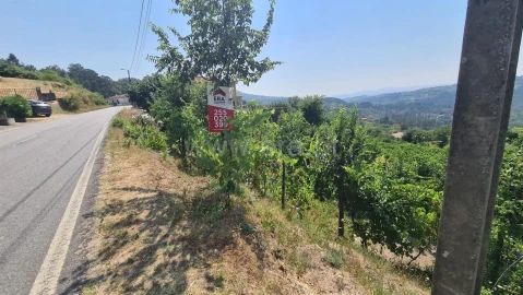 Terreno para Venda em Várzea, Aliviada e Folhada