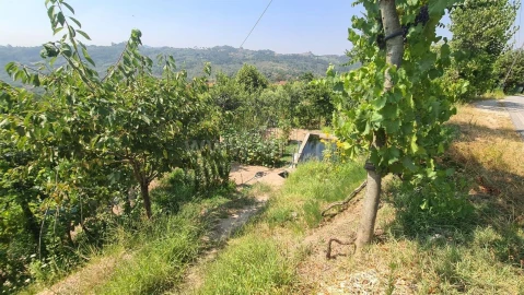 Terreno para Venda em Várzea, Aliviada e Folhada