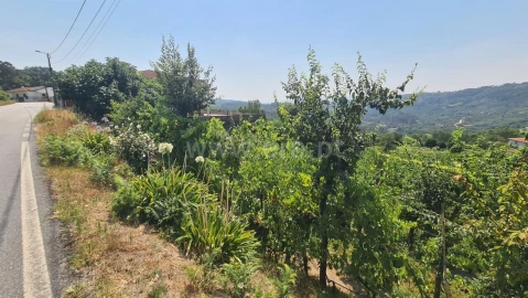 Terreno para Venda em Várzea, Aliviada e Folhada