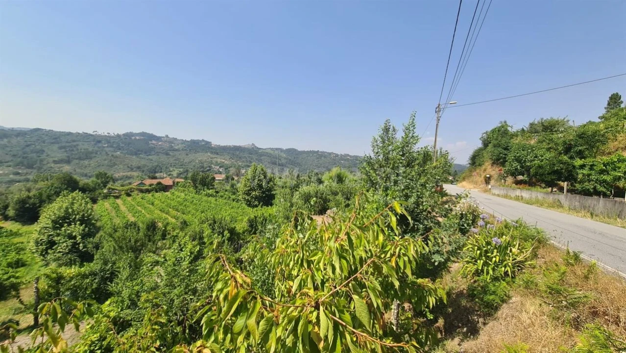 Terreno para Venda em Várzea, Aliviada e Folhada Foto 7