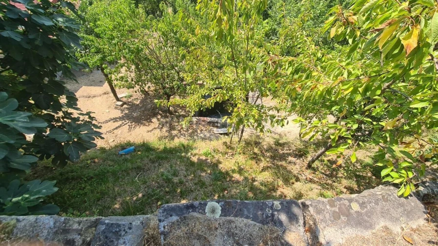 Terreno para Venda em Várzea, Aliviada e Folhada Foto 15