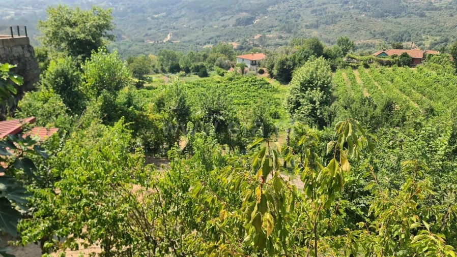Terreno para Venda em Várzea, Aliviada e Folhada Foto 8