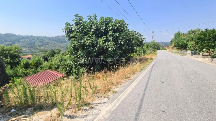 Terreno para Venda em Várzea, Aliviada e Folhada Foto 3