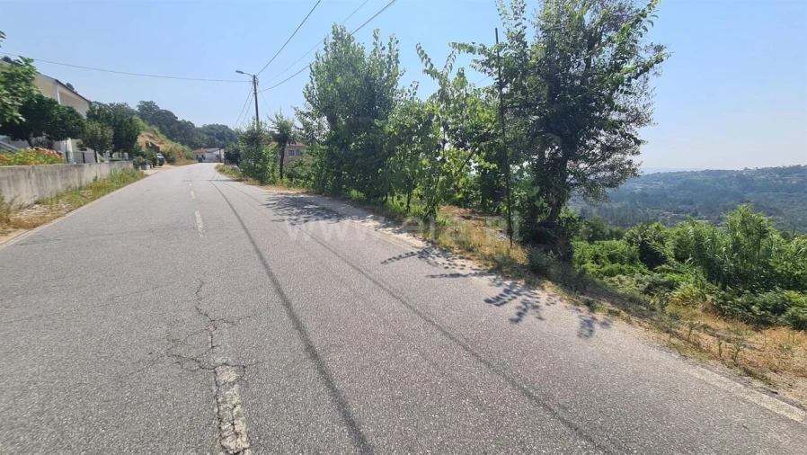 Terreno para Venda em Várzea, Aliviada e Folhada Foto 9
