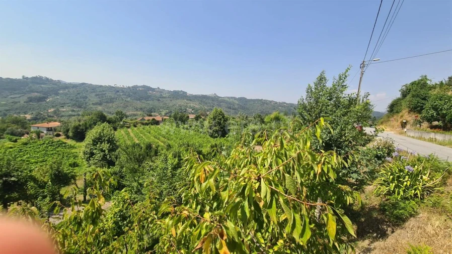 Terreno para Venda em Várzea, Aliviada e Folhada Foto 14