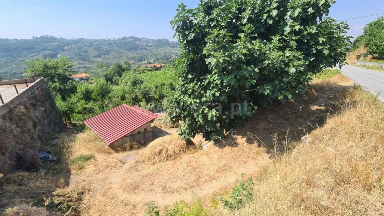 Terreno para Venda em Várzea, Aliviada e Folhada Foto 1