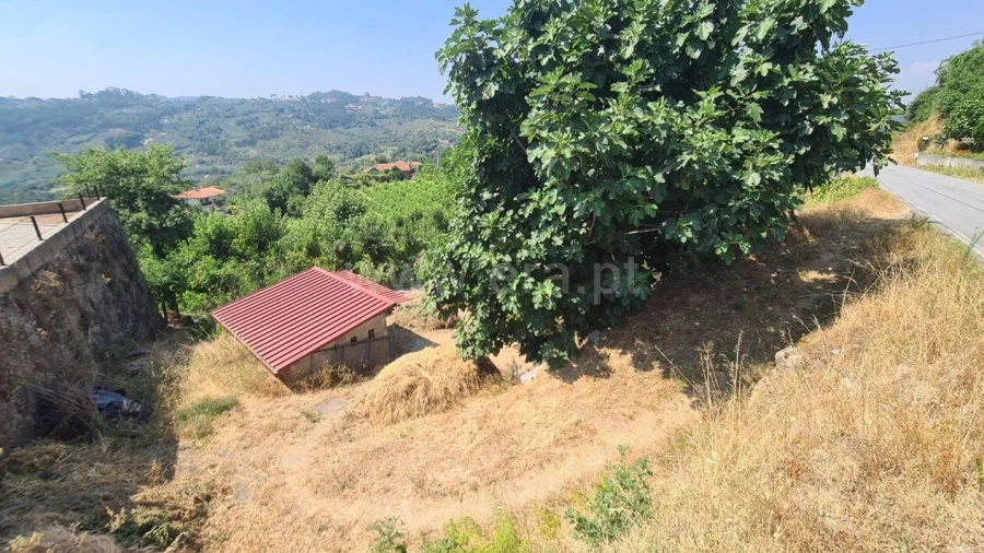 Terreno para Venda em Várzea, Aliviada e Folhada
