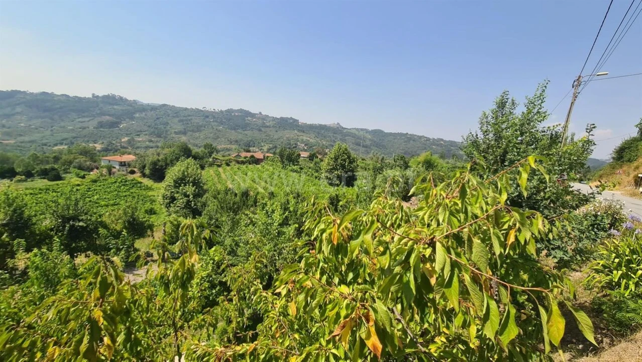 Terreno para Venda em Várzea, Aliviada e Folhada Foto 5