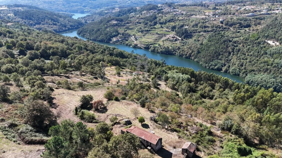 Quinta T0 para Venda em Avessadas e Rosém