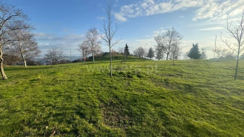 Terreno para Venda em Campelo e Ovil