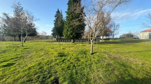 Terreno para Venda em Campelo e Ovil