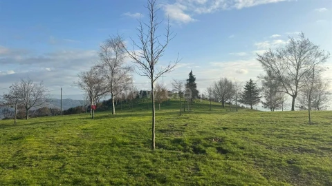 Terreno para Venda em Campelo e Ovil