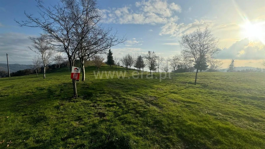 Terreno para Venda em Campelo e Ovil Foto 4
