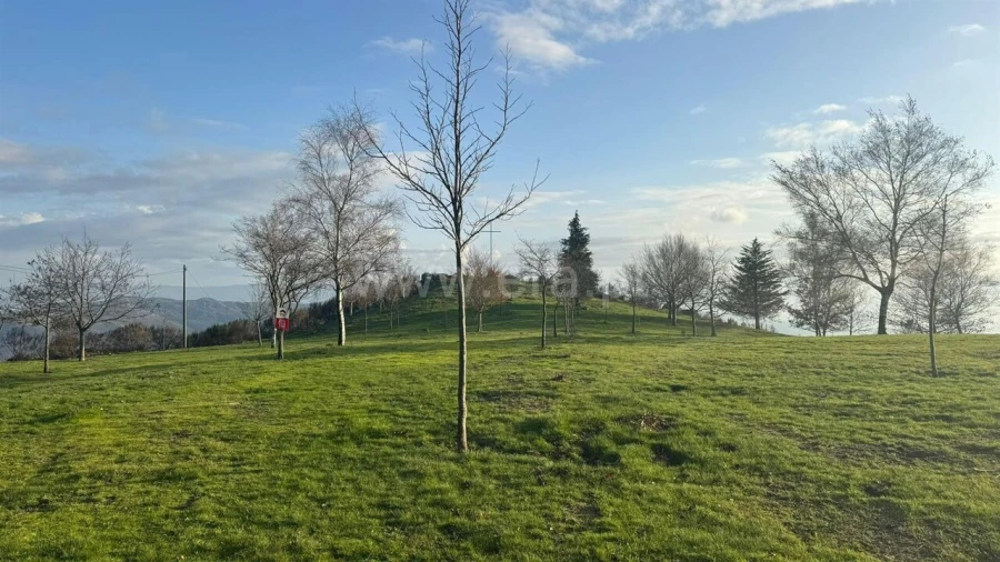 Terreno para Venda em Campelo e Ovil Foto 5