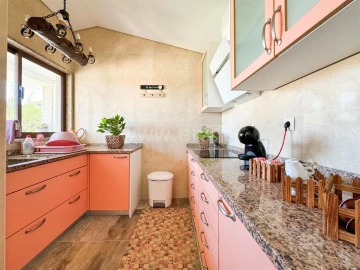 Quinta T4 para Venda em Campelo e Ovil