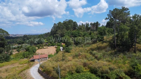 Terreno para Venda em Paredes de Viadores e Manhuncelos