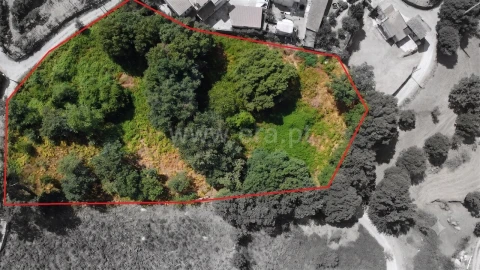 Terreno para Venda em Paredes de Viadores e Manhuncelos