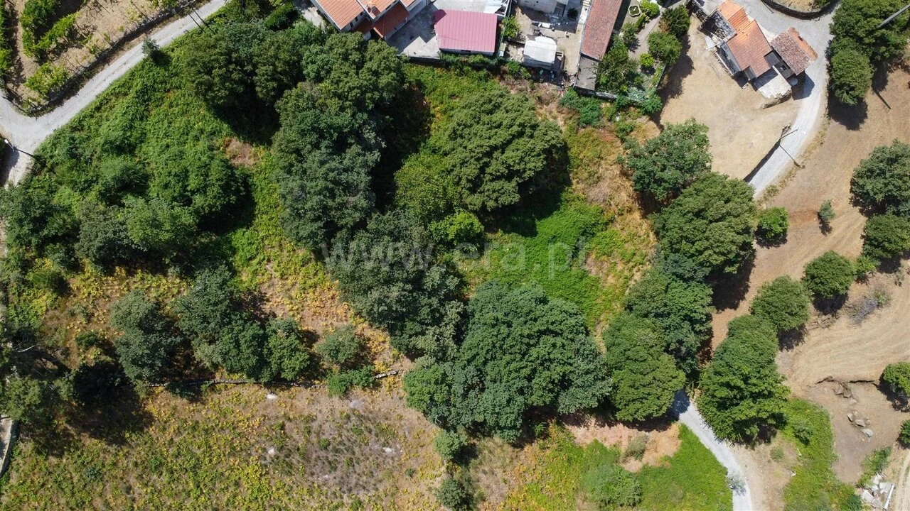 Terreno para Venda em Paredes de Viadores e Manhuncelos Foto 2