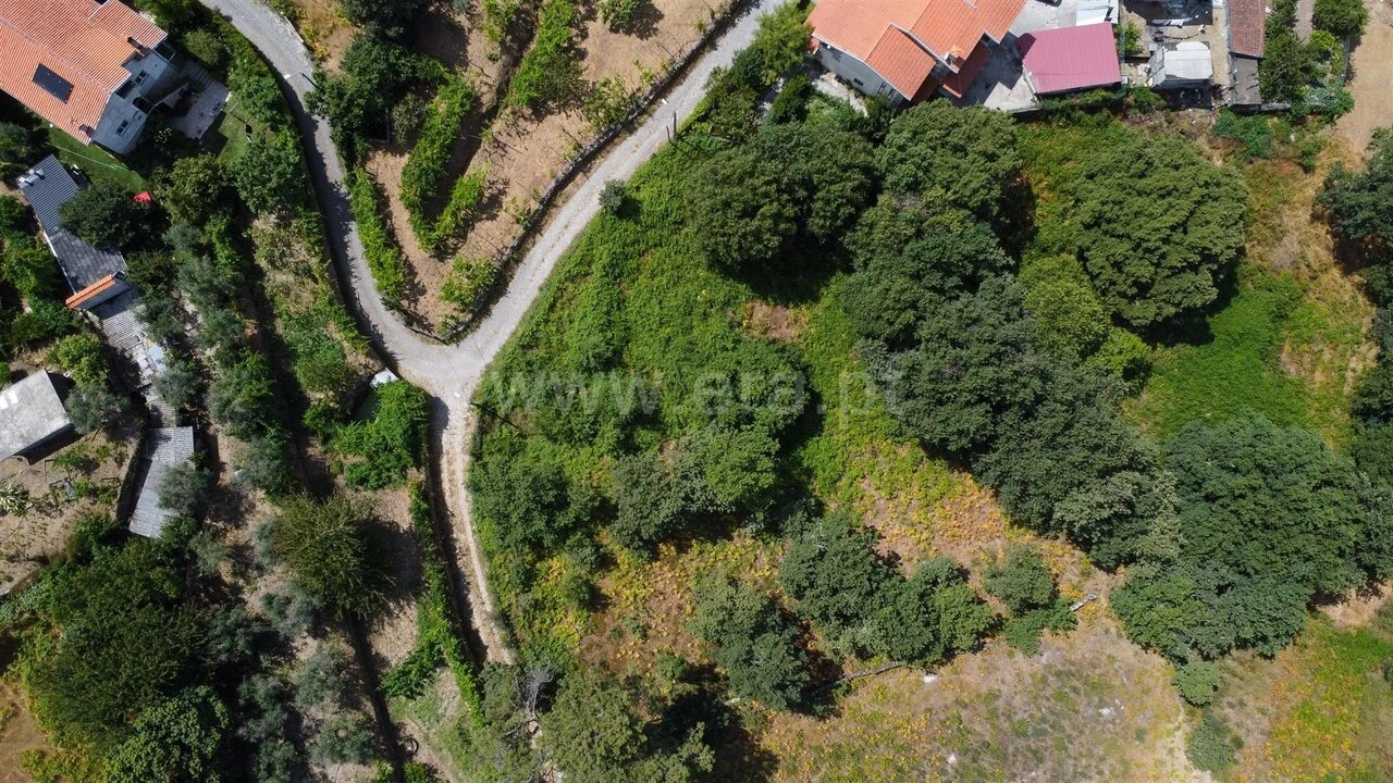 Terreno para Venda em Paredes de Viadores e Manhuncelos Foto 4