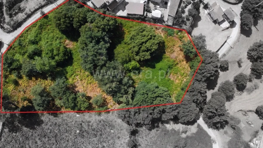 Terreno para Venda em Paredes de Viadores e Manhuncelos