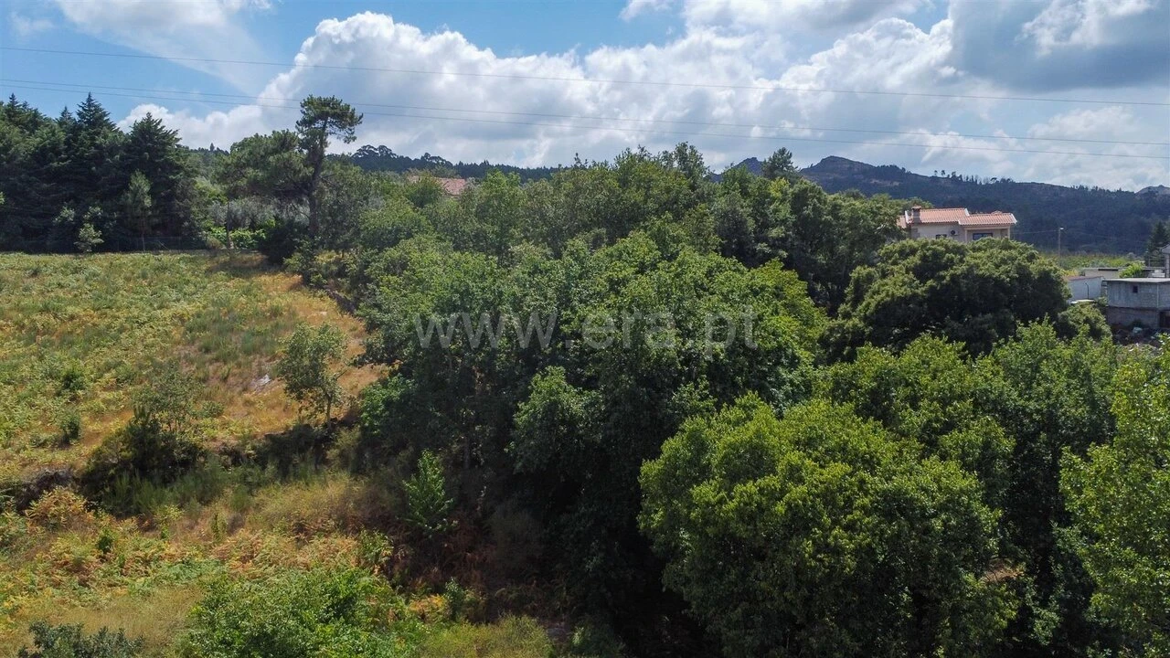 Terreno para Venda em Paredes de Viadores e Manhuncelos Foto 7
