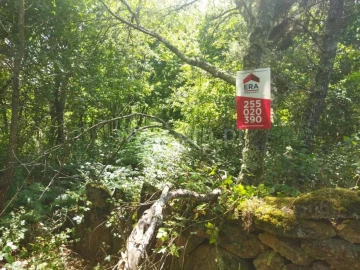 Terreno para Venda em Campelo e Ovil