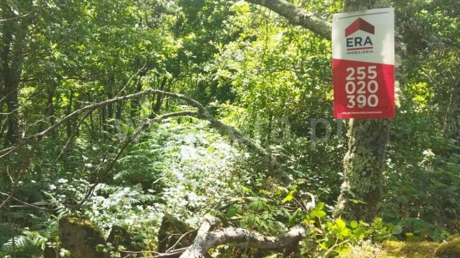 Terreno para Venda em Campelo e Ovil