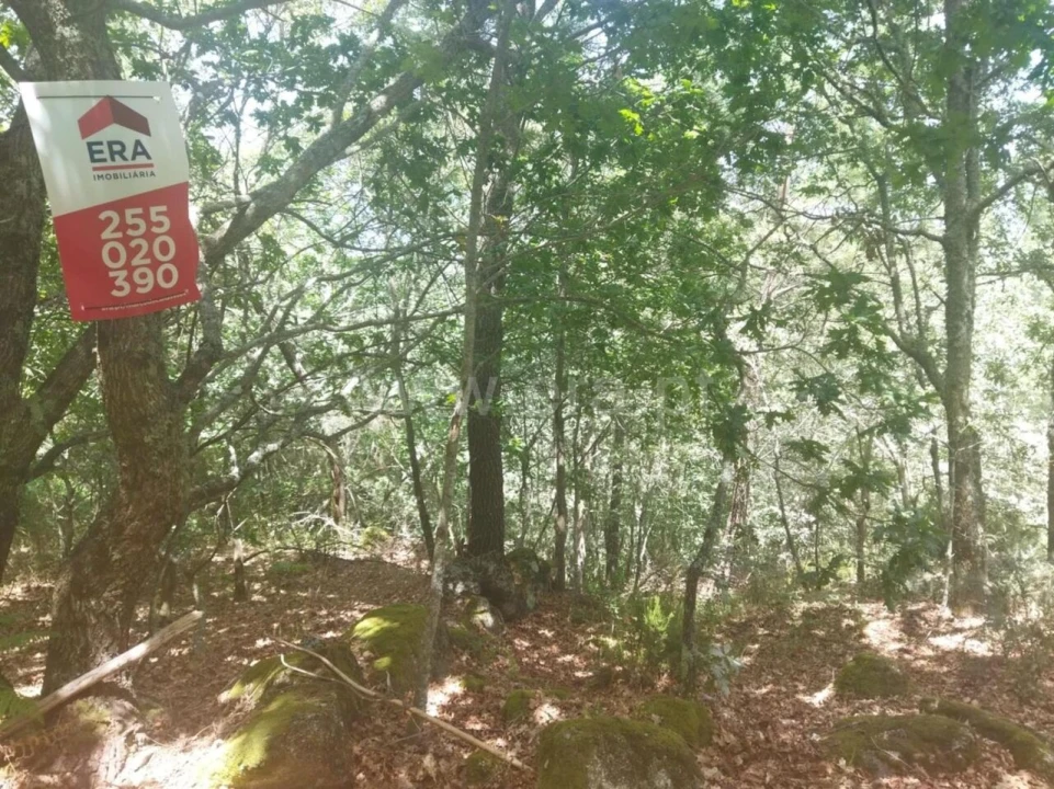 Terreno para Venda em Campelo e Ovil Foto 1