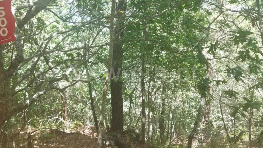 Terreno para Venda em Campelo e Ovil
