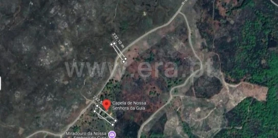 Terreno para Venda em Campelo e Ovil