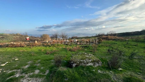 Terreno para Venda em Campelo e Ovil
