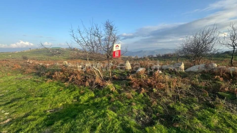 Terreno para Venda em Campelo e Ovil