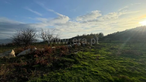 Terreno para Venda em Campelo e Ovil