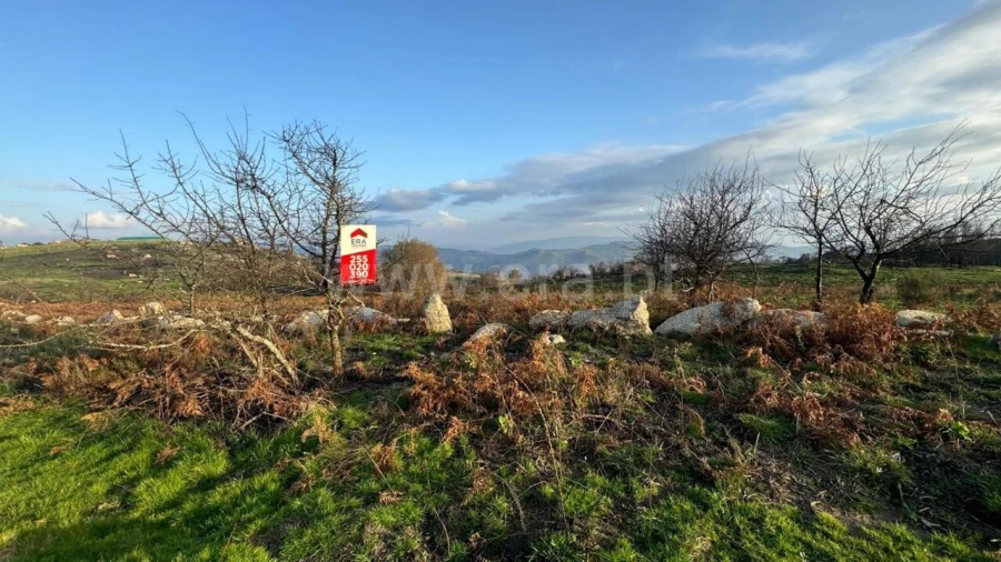 Terreno para Venda em Campelo e Ovil Foto 3