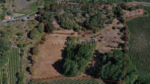 Terreno para Venda em Vila Boa de Quires e Maureles