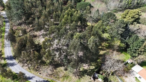 Terreno para Venda em Vila Boa de Quires e Maureles