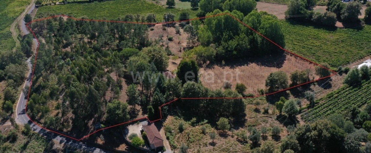 Terreno para Venda em Vila Boa de Quires e Maureles Foto 4