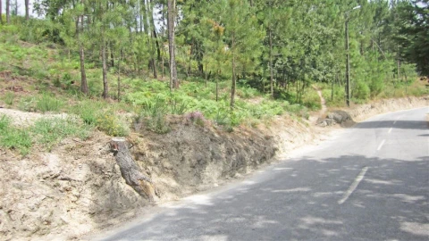 Terreno para Venda em Várzea, Aliviada e Folhada