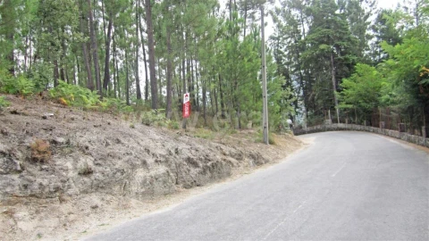 Terreno para Venda em Várzea, Aliviada e Folhada