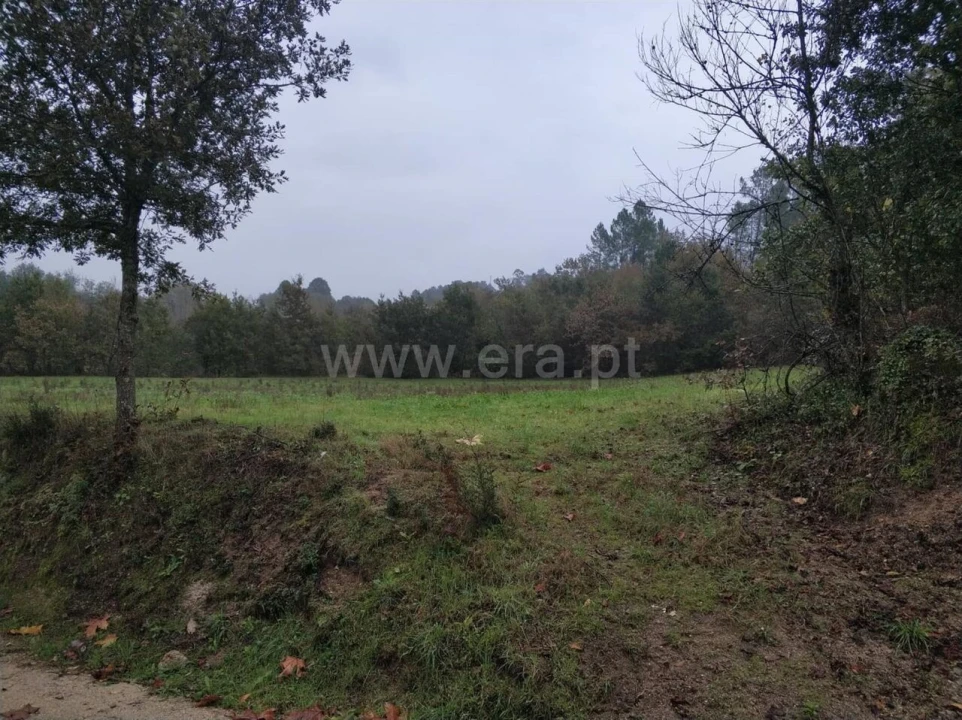 Quinta T0 para Venda em Várzea, Aliviada e Folhada Foto 14