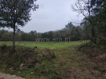 Quinta T0 para Venda em Várzea, Aliviada e Folhada