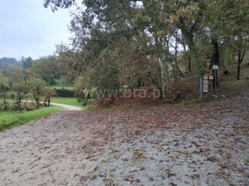 Quinta T0 para Venda em Várzea, Aliviada e Folhada