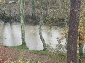 Quinta T0 para Venda em Várzea, Aliviada e Folhada
