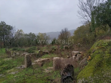 Quinta T0 para Venda em Várzea, Aliviada e Folhada
