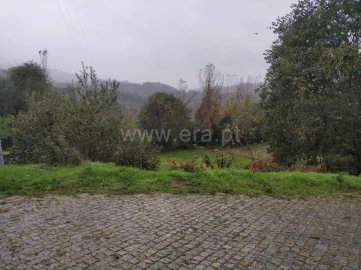 Quinta T0 para Venda em Várzea, Aliviada e Folhada