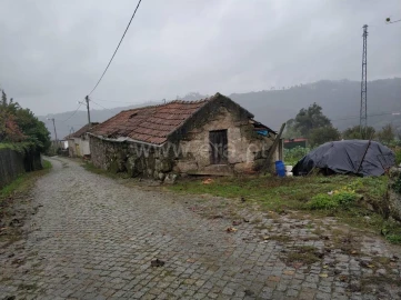 Quinta T0 para Venda em Várzea, Aliviada e Folhada