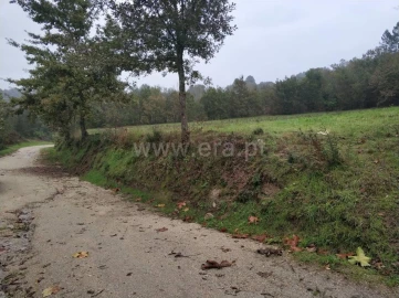 Quinta T0 para Venda em Várzea, Aliviada e Folhada