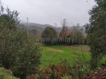 Quinta T0 para Venda em Várzea, Aliviada e Folhada